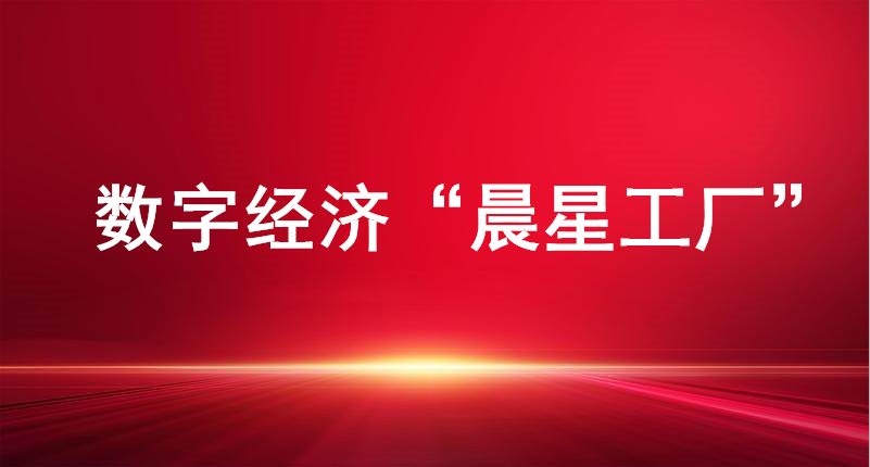 裕航合金、長(zhǎng)壽花食品入選山東省首批數(shù)字經(jīng)濟(jì)“晨星工廠”